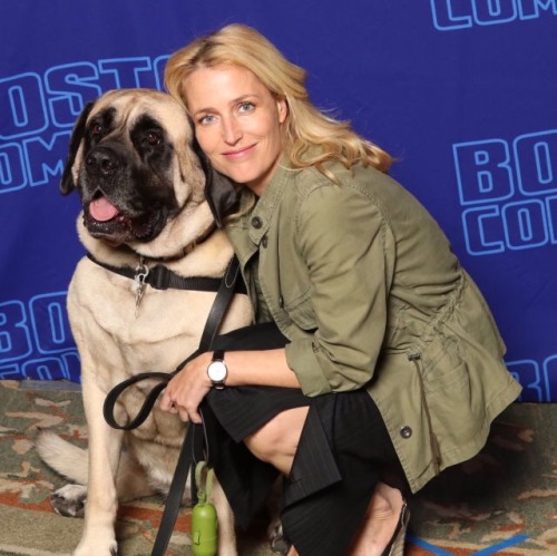 defnotmeyo: medicaldoctordana: Gillian &amp; Dogs This makes me happy