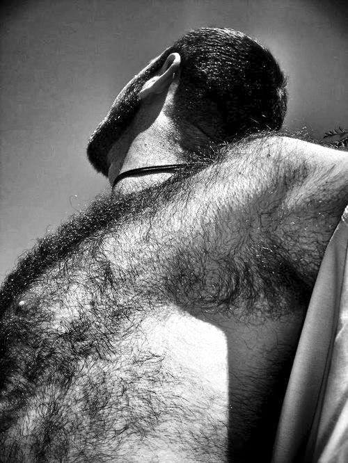 French Bottom