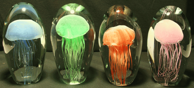 Kind of like lava lamps but better! These jellyfish are real. They have died of natural
