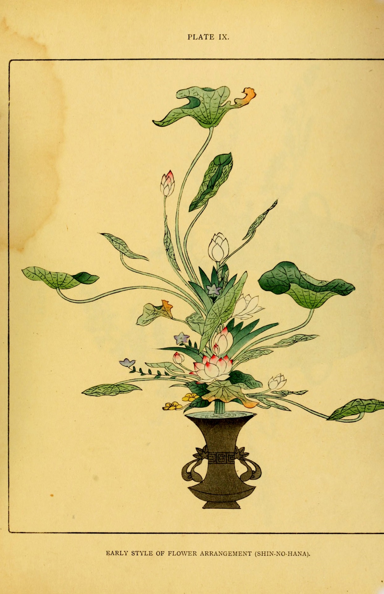 wapiti3:  The floral art of Japan : being a second and revised edition of the flowers