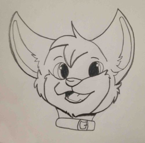 rainbows-and-paws:Day 195: My best Shadow the Kitsune!
