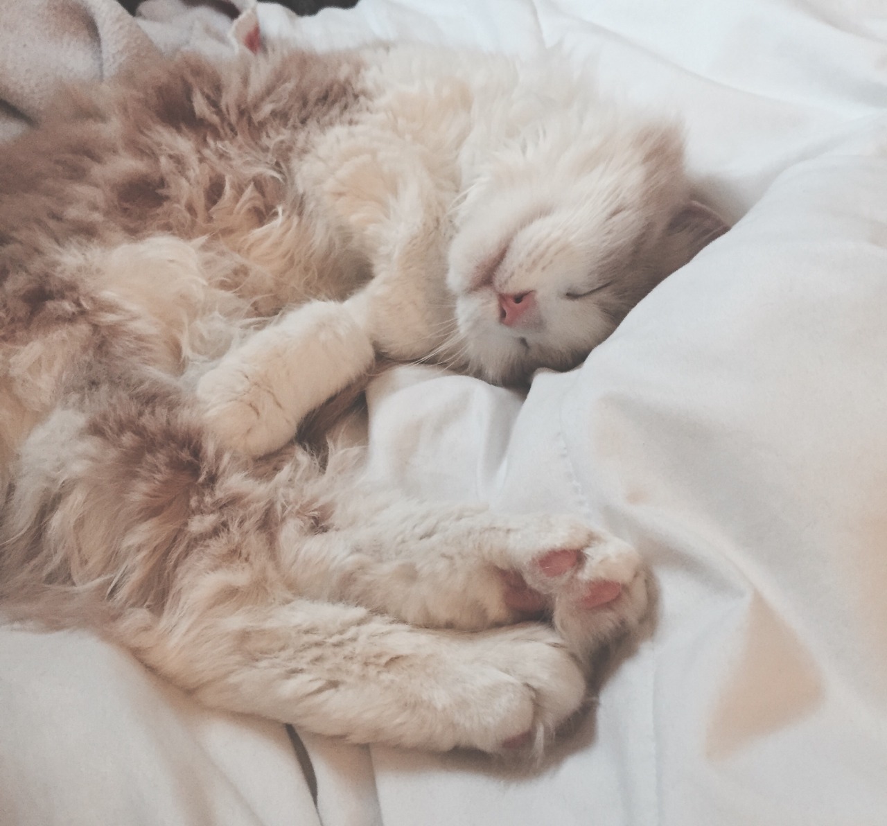 lame-astrology:  he’s a nerd