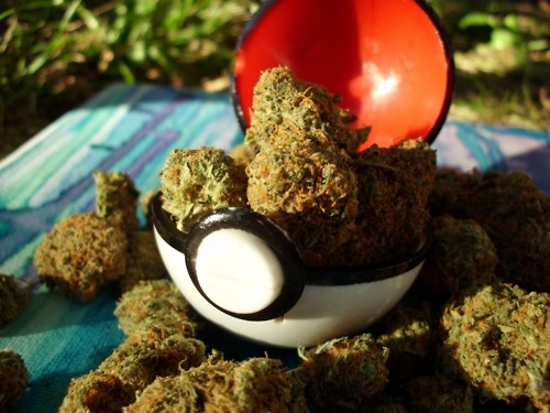 thecrimsonbolt:  Let’s get high