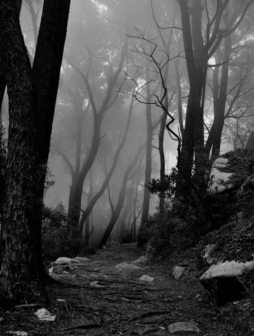 moiskale.tumblr.com/post/79008268325/