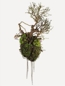 asylum-art:  Sculptures Made from Wild Plants