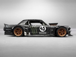 spiffynorthwest:  Hoonicorn 