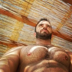 Hairy Bodybuilders