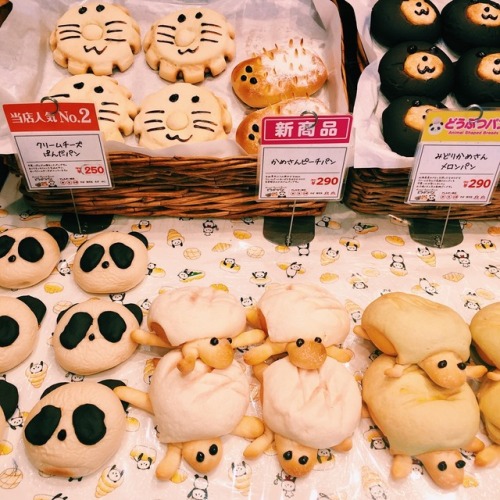yokaiying - Good morning at a cute bakery ☕️ Twitter - ...