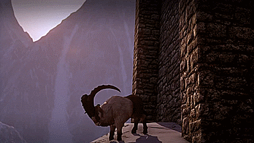           Reblog and search your favorite game and add the first gif that pops up