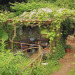 peacozy:Gardencore