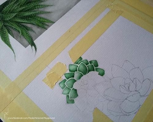 Wip….#watercolor #wip #painting #watercolorart #watercolorpainting #drawing #succulents #pl