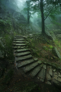 tulipnight:  Stairway to the Castle by Karol