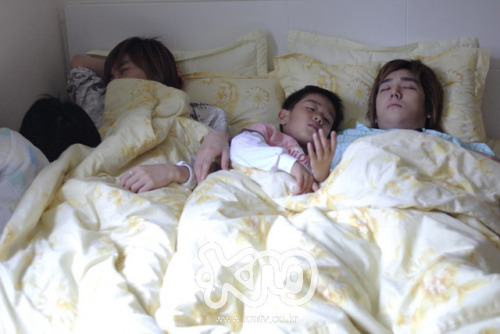 [SJ Magazine - Week 43] Sleeping Super Junior / Super Junior endormis