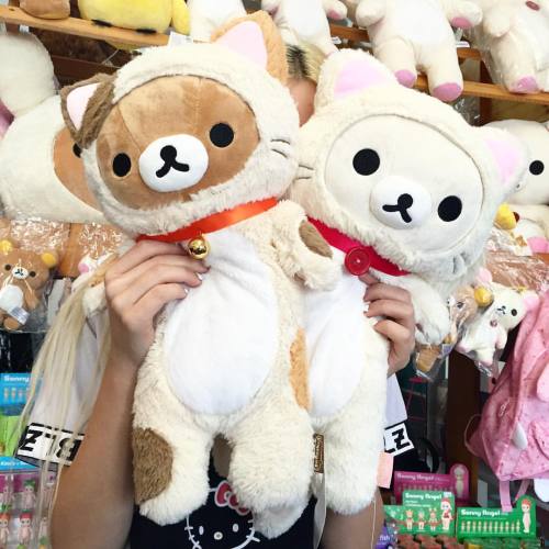 Meeeeooow! New Rilakkuma & SanX is here at JapanLA! Check out the adorable new and fluffy Rilakk