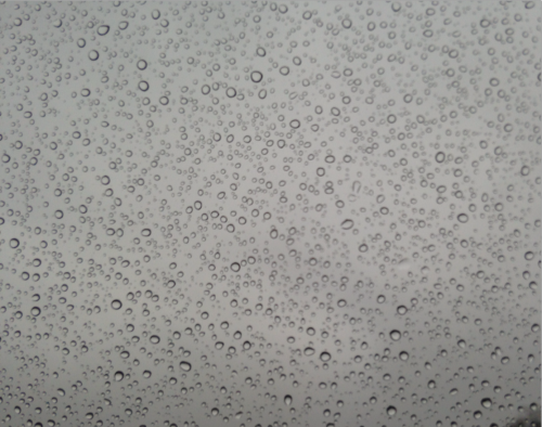 vampire-arcade:  Body comparative // goosebumps and raindrops on a window 