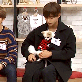 a-r-m-y-g-i-r-l:devoteejoon:geniusyub:Taehyung keeping Sangdolie warm~@brattyboytaehyungie look at y