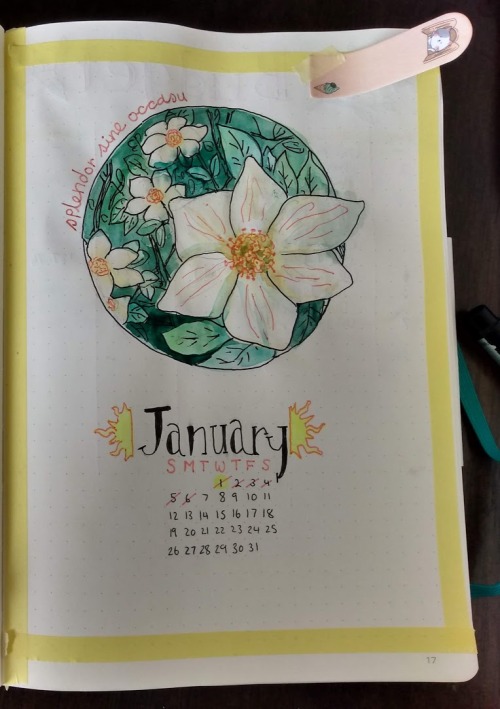 acetechne: Started a new bullet journal and I thought it would be nice to do flowers as themes - I h