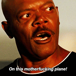 The Funniest GIFs On the Internet