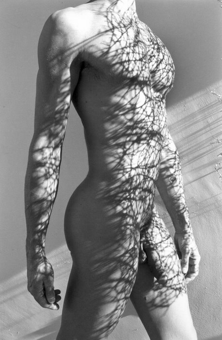 les ames perdues