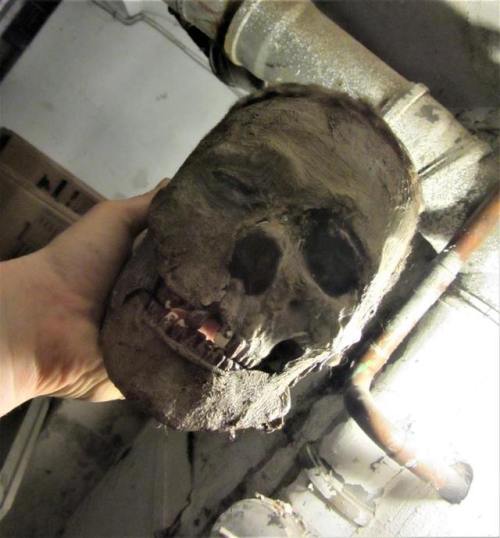 The original head of the NEKROMANTIK-corpse from Buttgereit&rsquo;s FB page: www.faceboo