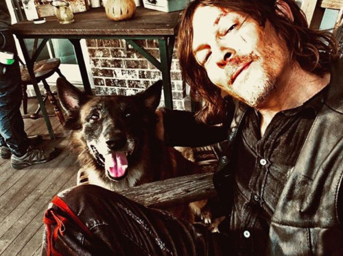 For the love of Dog… or Daryl… or both. lol