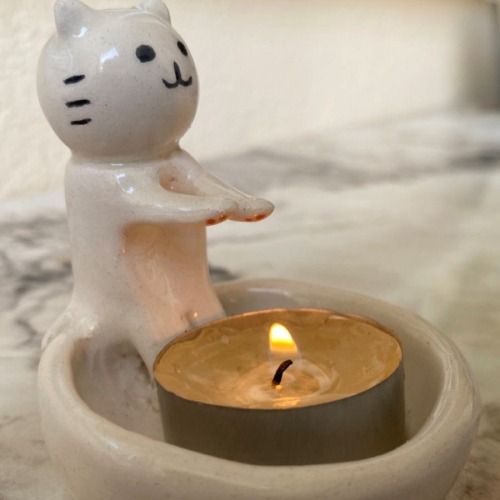 Https://twitter.com/gatitosentiment