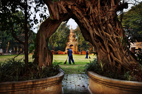 stevemccurrystudios:  Trees are SentinelsGuarding, Nurturing, ProtectingBastions of DignityBreathing lifeProviding shelterAsking for nothingSacrificing everything- Kay Earle 