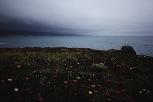 garettphotography:“The woods call to us with a hundred voices, but the sea has one only — a mighty v