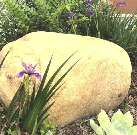 Flower Bed Los AngelesHere Is An Illustration Of A Sizable, Contemporary, Drought-tolerant, Shaded Backyard