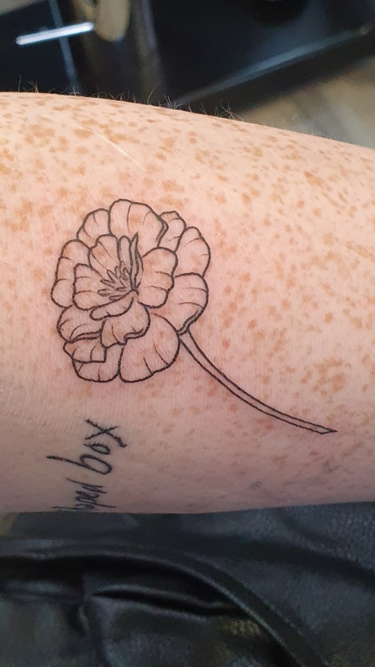 Yes, I Am The Girl With The Three Tattoos Dedicated To Dave Grohl