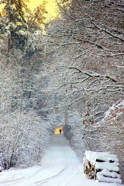 bluepueblo:  Snowy Day, Poland photo via susan 