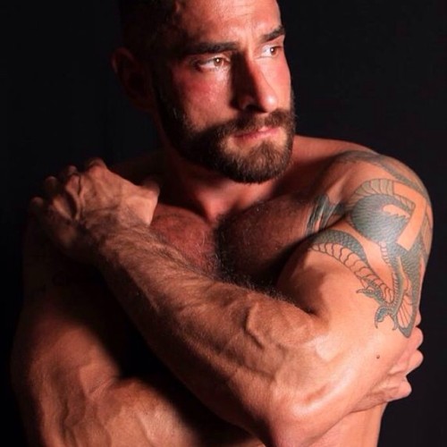 oofahpapa:  manlymuscle:  Bearded, hairy, inked, GOD   http://oofahpapa.tumblr.com/archive