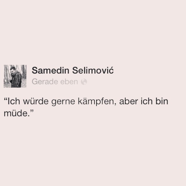 Samedin Selimovic