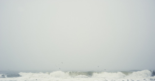 razorshapes:Das weisse Kaninchen - The Living and Dying of Waves“Portraits of waves. Three pictures 