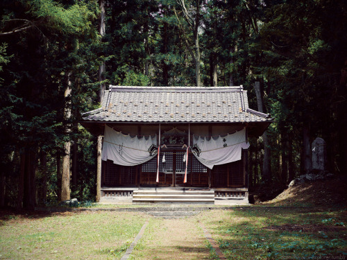 湯田中、長野県、日本、2014． Yudanaka, Nagano, Japan, 2014.