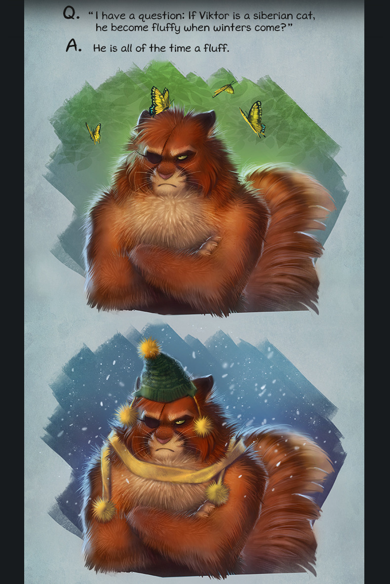 lackadaisycats:A reader question.Viktor’s not really meant to be a Siberian cat,