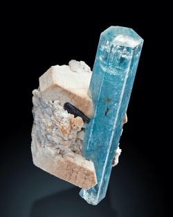 geologypage:  Aquamarine | #Geology #GeologyPage #Mineral  Locality: Usakos, Karibib, Erongo, Naminbia Size: 5.4 x 3.5 x 2.5 cm   Photo Copyright © Anton Watzl Minerals  Geology Pagewww.geologypage.com