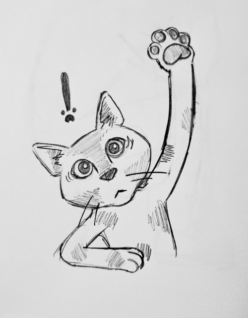 Little Doodle