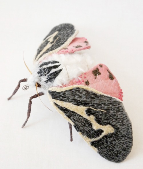 fer1972:The Textile Moths of Yumi Okita