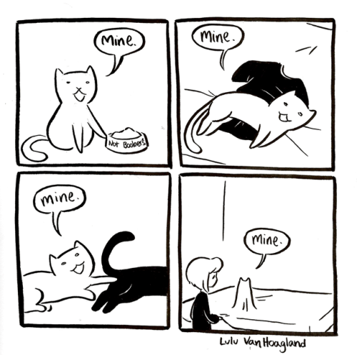 glenmoresparks:ancientreader:indifferentsocks:Made it to 10 Boober comics!Have a big post of kitties