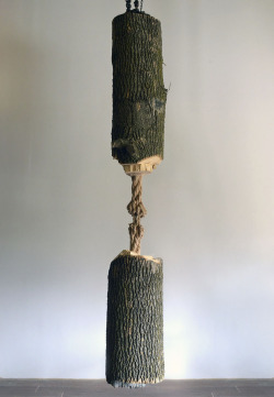 range-control: thedesigndome:  Artist Carves Wooden Rope Sculpture From a Tree Trunk Artist Maskull Lasserre indulges in sculptural practice that strikes a delicate balance between hard-edged industrial media and a delicately poetic resolve, blending