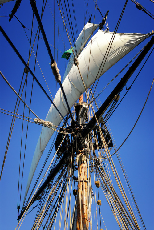 lokifenokee: The Lady Washington The Lady Washington is a 99 ton brig, built as a full scale replica