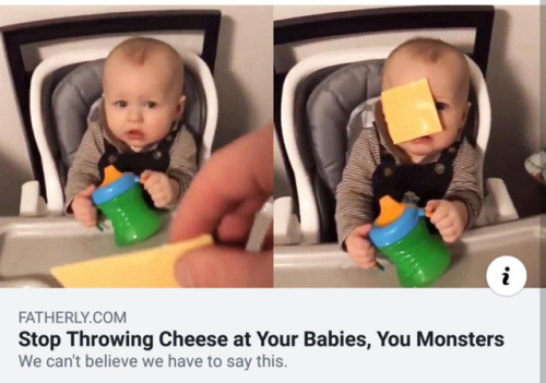 Don’t throw cheese at mob