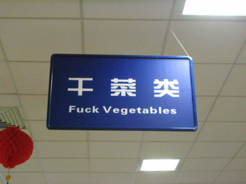 bowiesnippleantennae:  deepfriedtwinkie:  archatlas:  Chinese Translation Fails  I wasn’t gonna reblog it but then the tiny grass was dreaming I dunno how you top that  I LOST IT AT SOUP FOR SLUTS   All of'em are awesome.