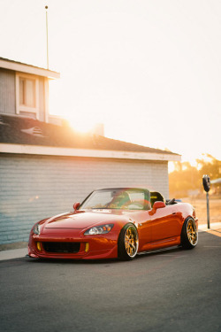 Carbonking:  (Via Tumbleon)