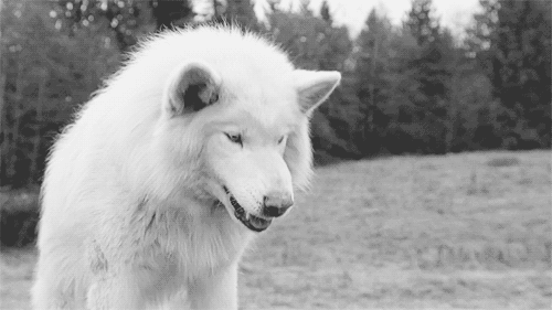 simplificy.tumblr.com/post/50601142394/