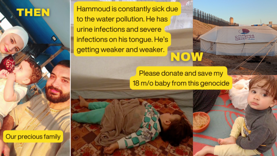Donate to Supporting Samah's family to survive the war, organized by Cody cavanaugh