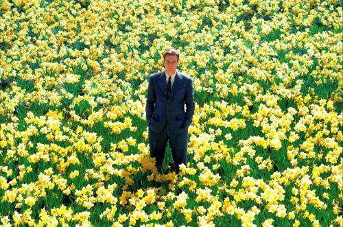 charliemacabray:   Big Fish (2003) directed by: Tim Burton based on the novel by Daniel Wallace  
