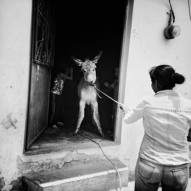 instagram:
“ Story Collecting with @adrianazehbrauskas To see more of Adriana’s photographs, follow @adrianazehbrauskas on Instagram.
As a journalism student, Adriana Zehbrauskas (@adrianazehbrauskas) found that pictures, not words, were the most...