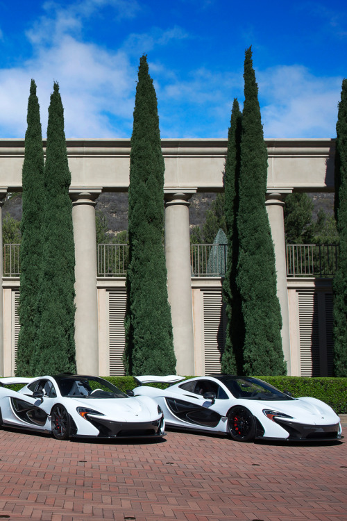  McLaren Party | © | AOI  adult photos